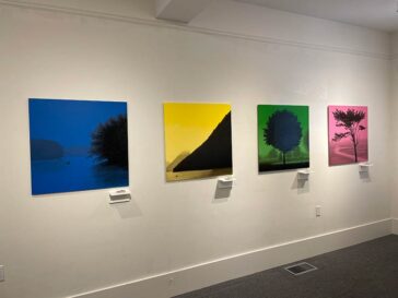 Startling Beauty and Anomie