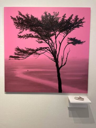 Startling Beauty and Anomie (pink)